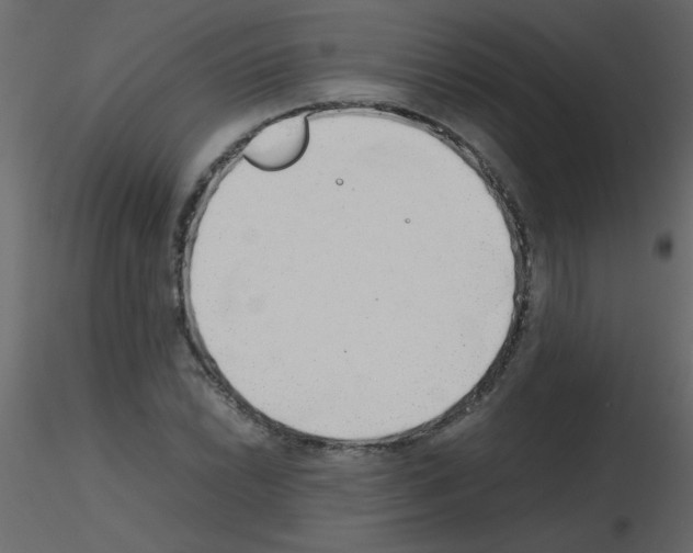 X0000115781022200912241806