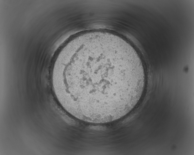 X0000115781023200912241806