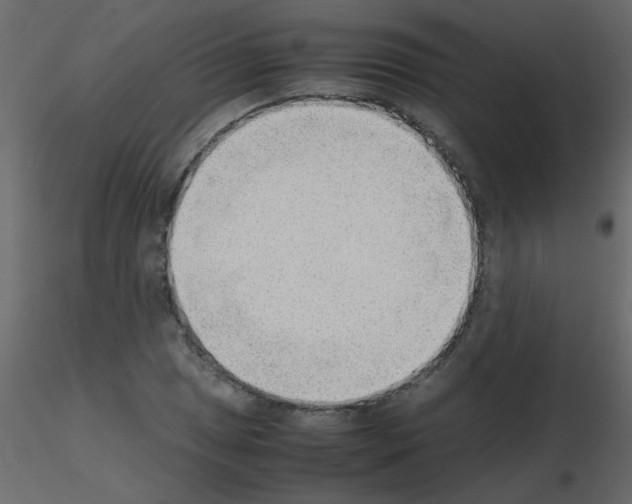 X0000115781025200912241806