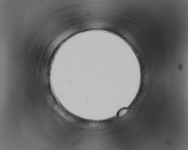 X0000115781026200912241806