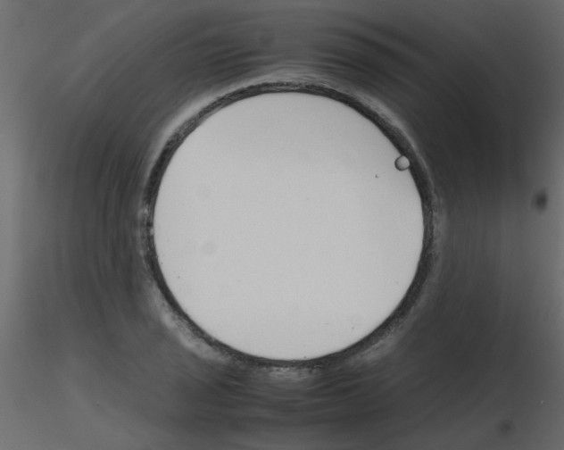 X0000115781029200912241806