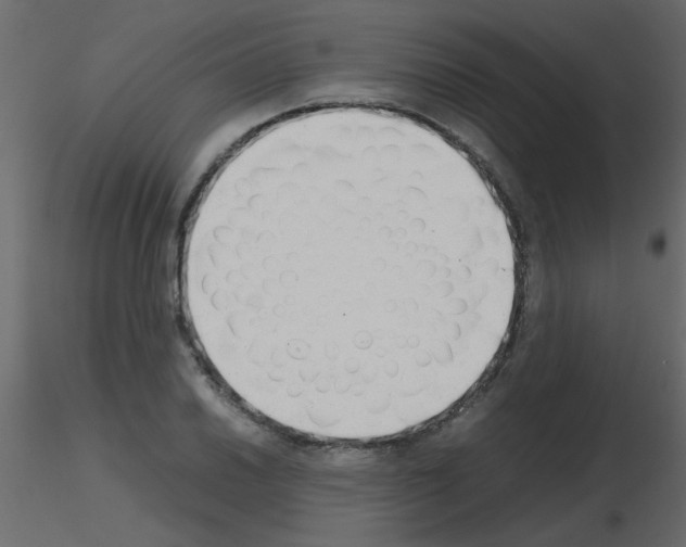 X0000115781030200912241806