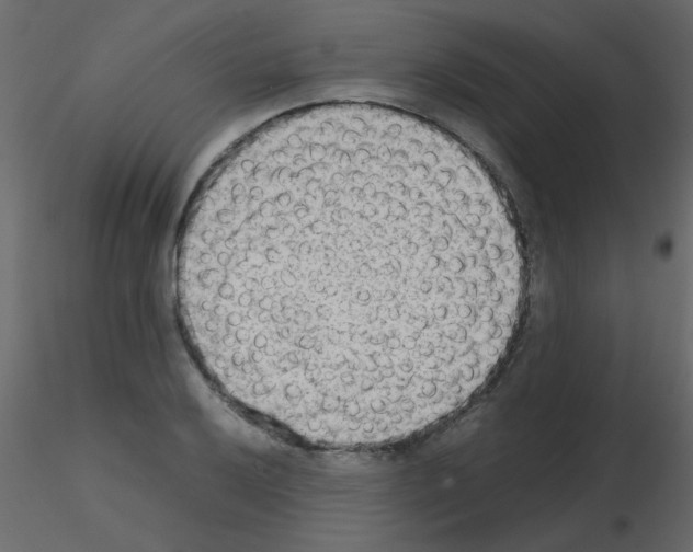 X0000115781032200912241806