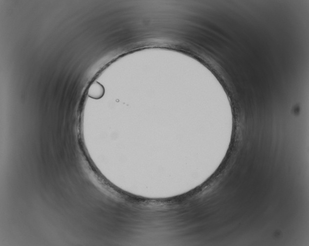 X0000115781034200912241806