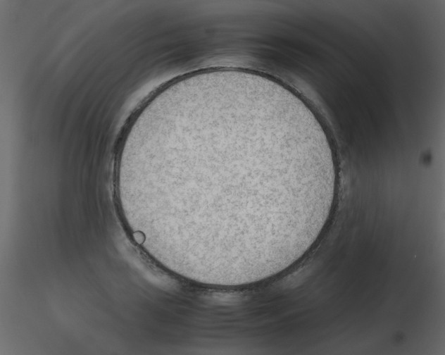 X0000115781035200912241806