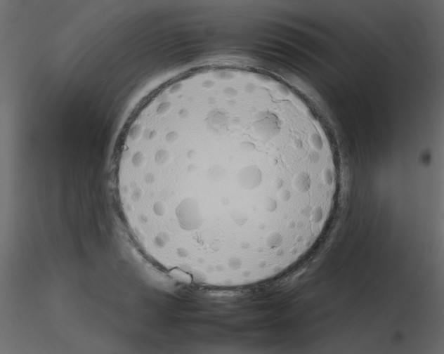 X0000115781037200912241806