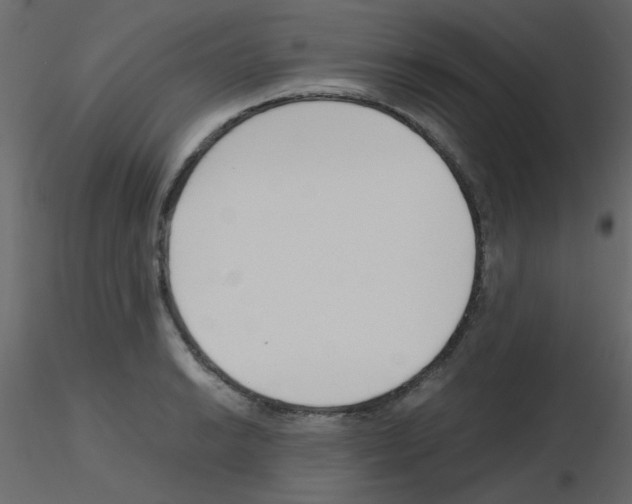 X0000115781038200912241806