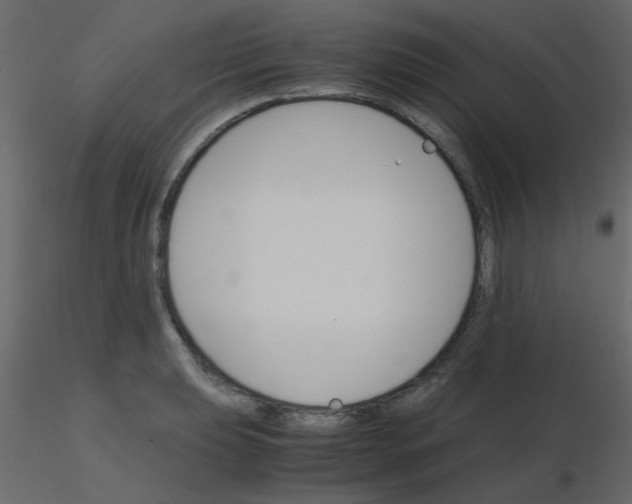 X0000115781039200912241806