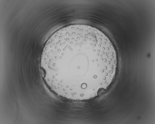 X0000115781041200912241806