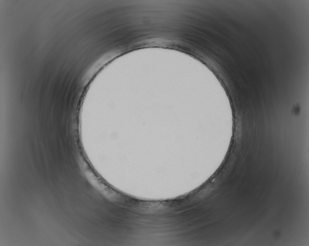 X0000115781042200912241806