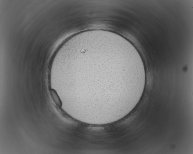 X0000115781043200912241806