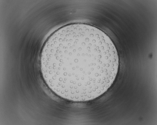 X0000115781044200912241806