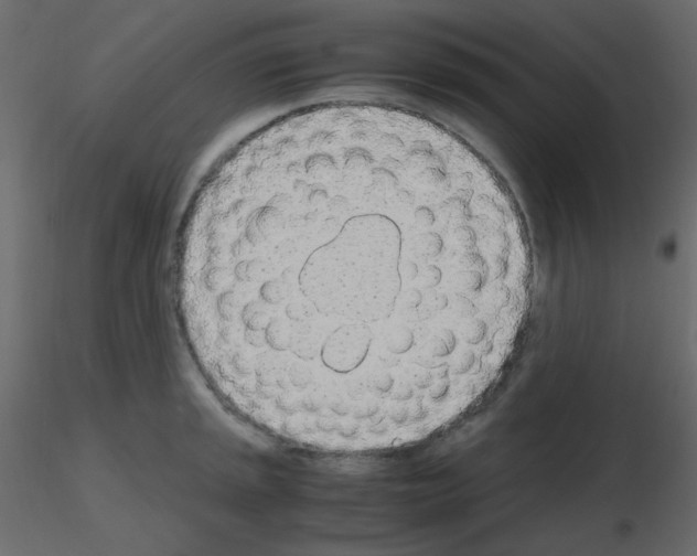 X0000115781045200912241806