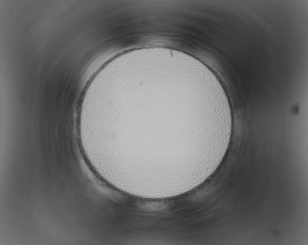 X0000115781047200912241806