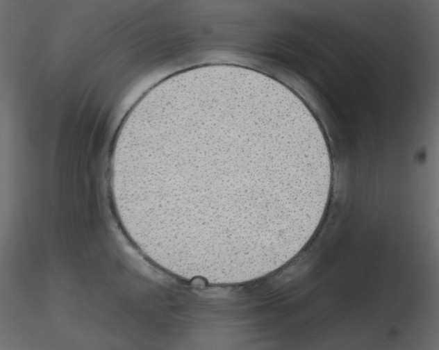 X0000115781048200912241806