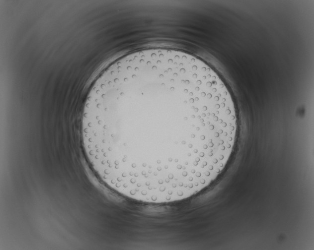 X0000115781049200912241806