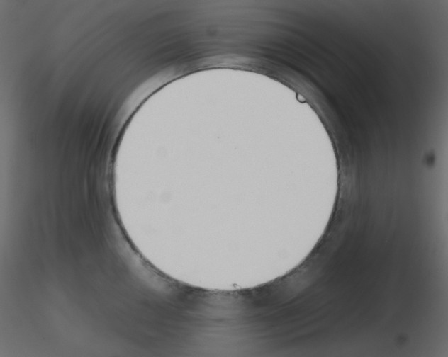 X0000115781050200912241806