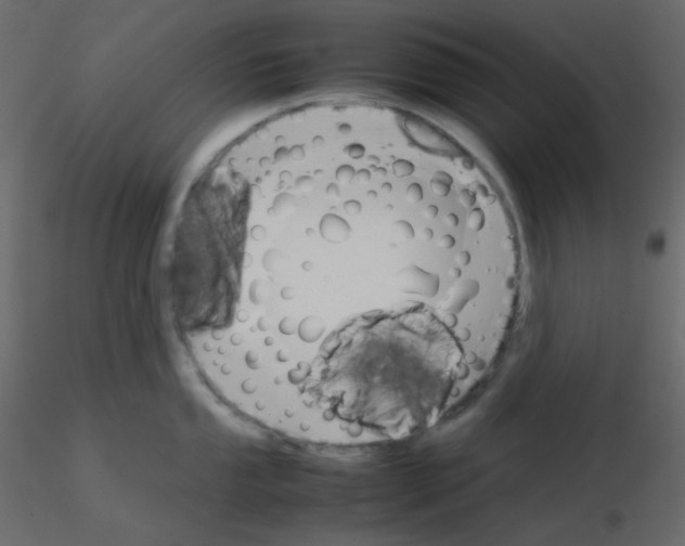 X0000115781053200912241807