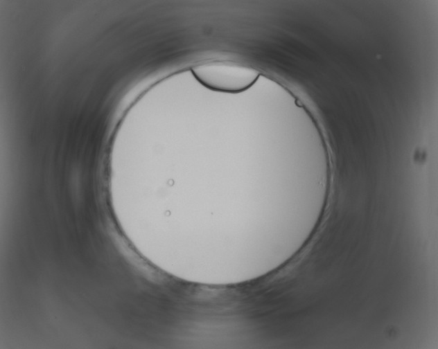 X0000115781056200912241807