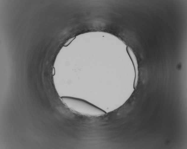 X0000115781057200912241806