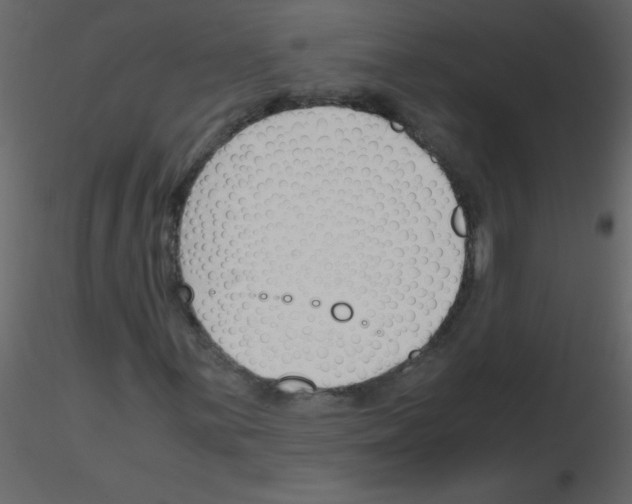 X0000115781059200912241806