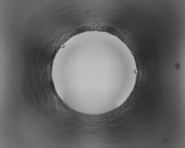 X0000115781060200912241806