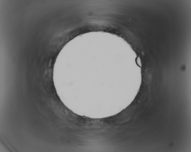 X0000115781061200912241806