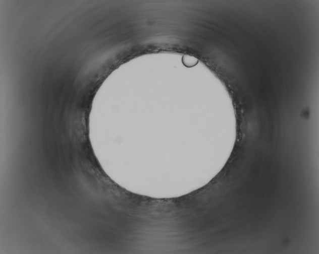 X0000115781062200912241806