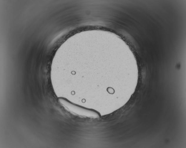 X0000115781064200912241806