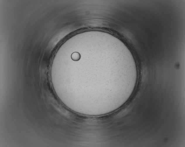 X0000115781065200912241806