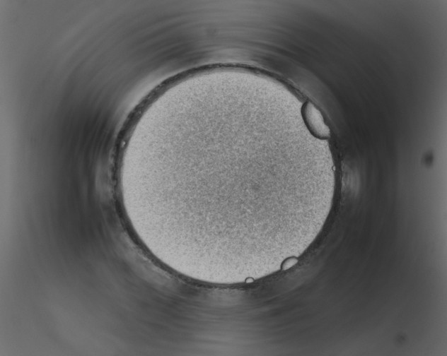 X0000115781068200912241806