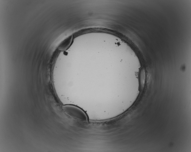 X0000115781069200912241806