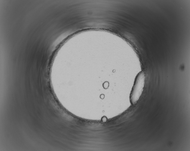 X0000115781071200912241806