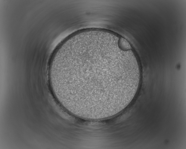 X0000115781077200912241806