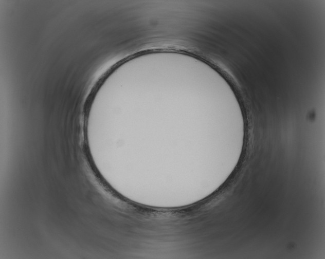 X0000115781079200912241806