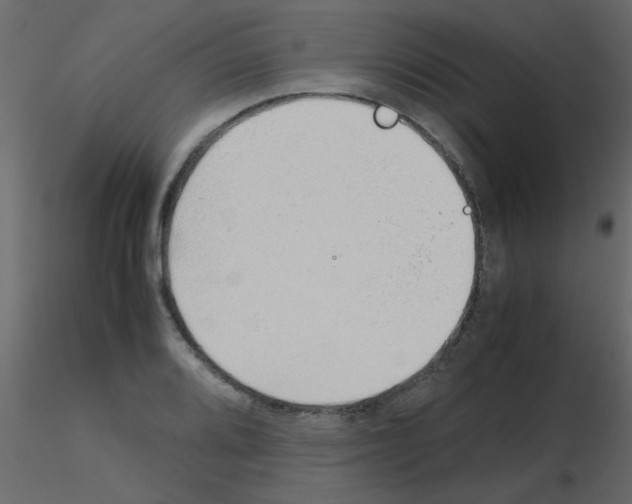 X0000115781080200912241806