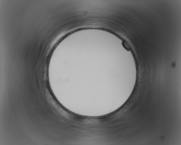 X0000115781083200912241806