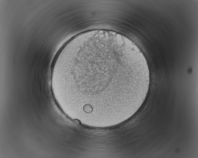 X0000115781084200912241806