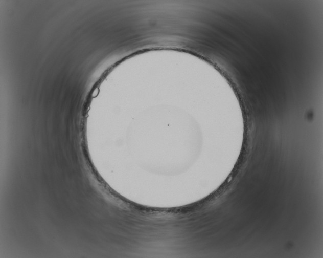 X0000115781085200912241806