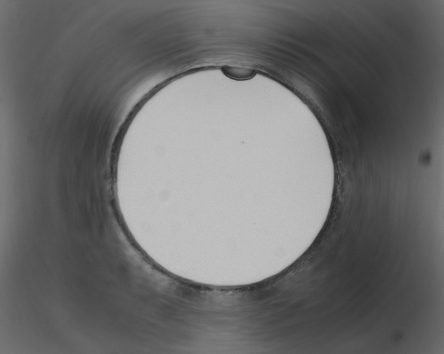 X0000115781087200912241806