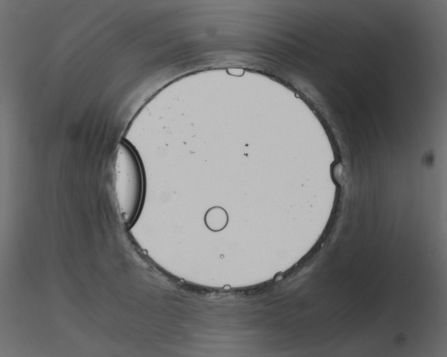 X0000115781089200912241805