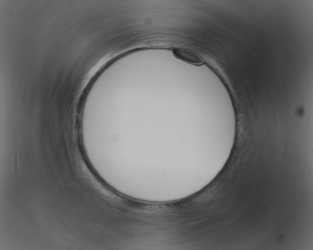 X0000115781091200912241805