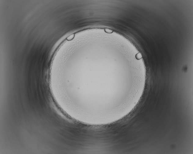 X0000115781092200912241805