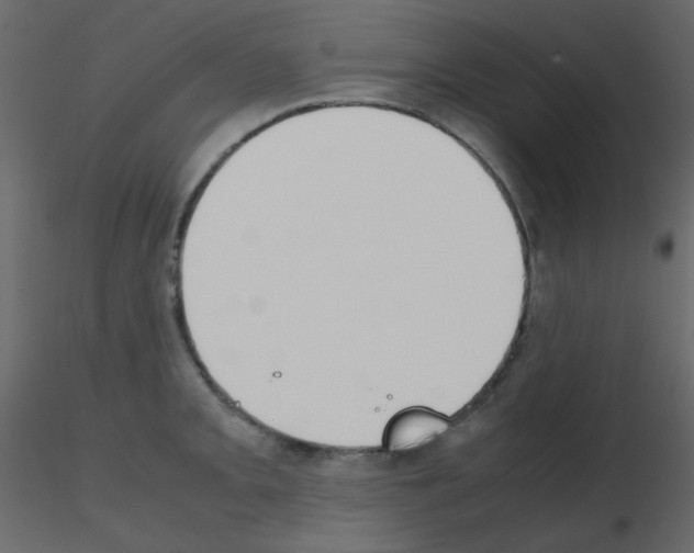 X0000115781093200912241805