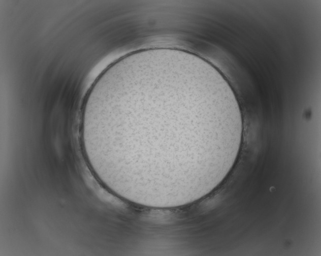 X0000115781094200912241805