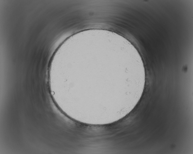 X0000115781095200912241805