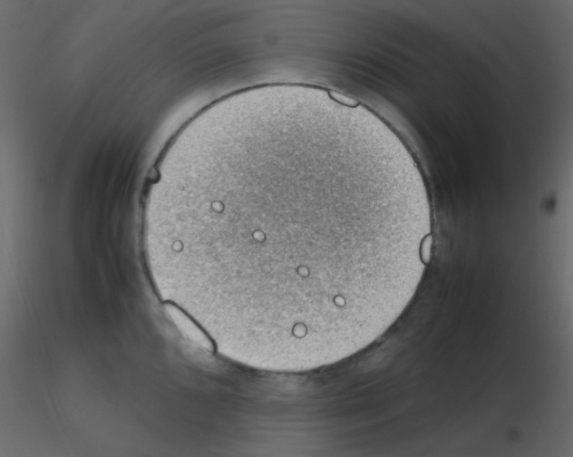 X0000115781096200912241805