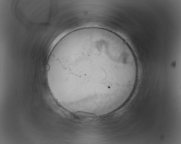 X0000115781097200912241805