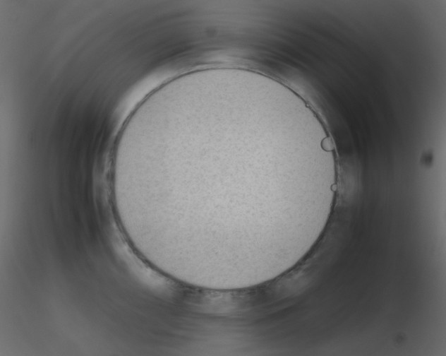 X0000115781098200912241805