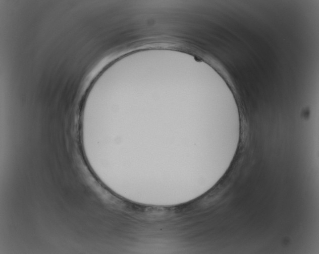 X0000115781099200912241805